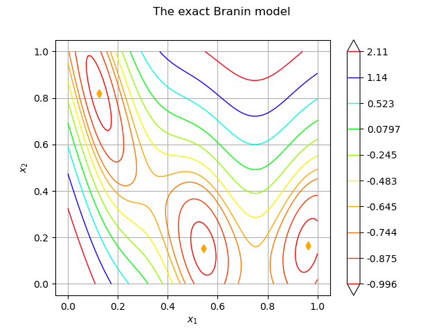 The exact Branin model