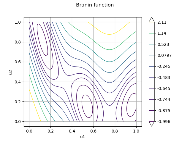 Branin function