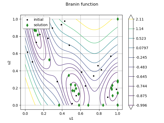 Branin function