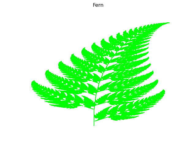 Fern