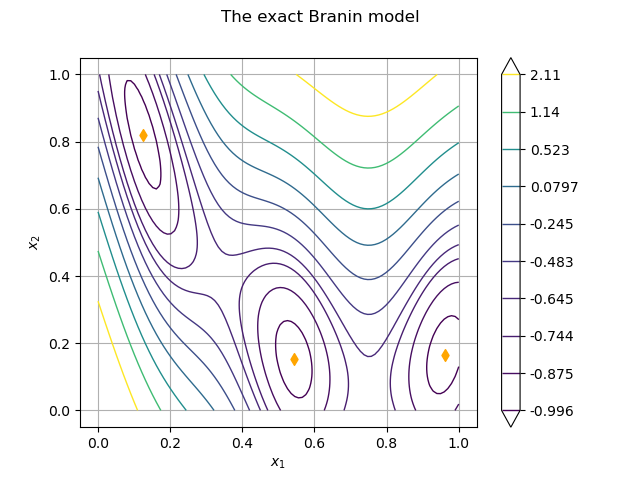 The exact Branin model