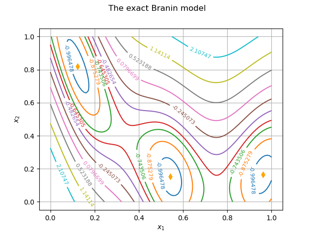 The exact Branin model